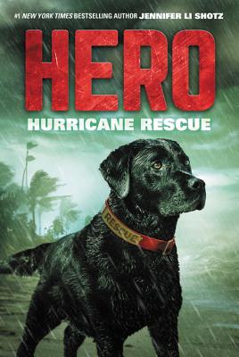Coperta cărții 'Hero: Hurricane Rescue - Jennifer Li Shotz'