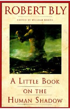 Coperta cărții 'A Little Book on the Human Shadow - Robert Bly'