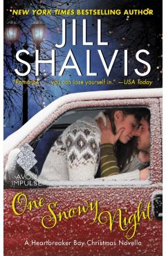 One Snowy Night: A Heartbreaker Bay Christmas Novella - Jill Shalvis