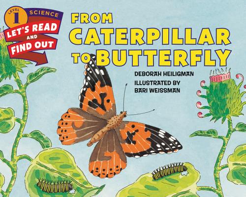 From Caterpillar to Butterfly - Deborah Heiligman