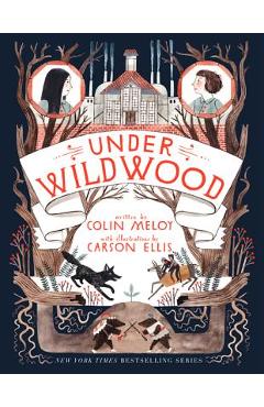 Poza produsului Under Wildwood - Colin Meloy