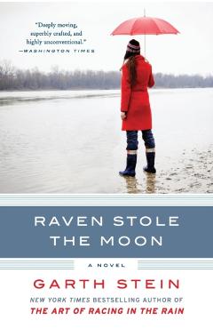 Raven Stole the Moon - Garth Stein