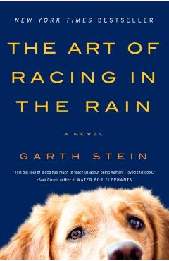 The Art of Racing in the Rain - Garth Stein