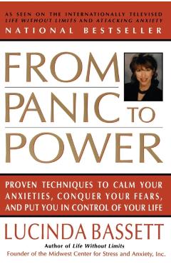 From Panic to Power - Lucinda Bassett