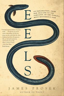 Eels: An Exploration, from New Zealand to the Sargasso, of the World's Most Mysterious Fish - James Prosek