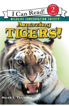 Amazing Tigers! - Sarah L. Thomson