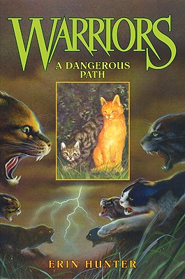 A Dangerous Path - Erin Hunter