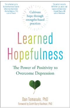Learned Hopefulness: The Power of Positivity to Overcome Depression - Dan Tomasulo