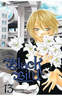 Black Bird, Volume 13 - Kanoko Sakurakoji