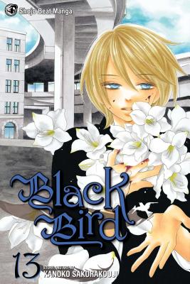 Black Bird, Volume 13 - Kanoko Sakurakoji