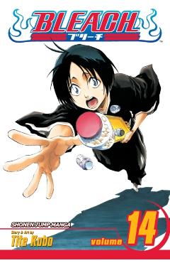 Bleach, Vol. 14 - Tite Kubo