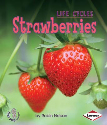Strawberries - Robin Nelson