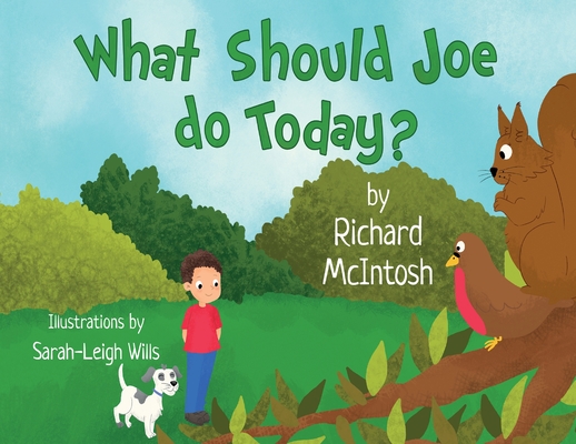 What Should Joe Do Today? - Richard Mcintosh