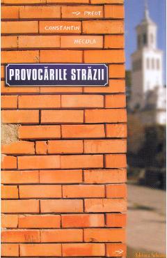 Poza produsului Provocarile strazii - Constantin Necula