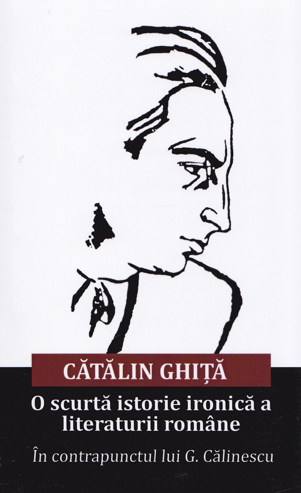 O scurta istorie ironica a literaturii romane - Catalin Ghita