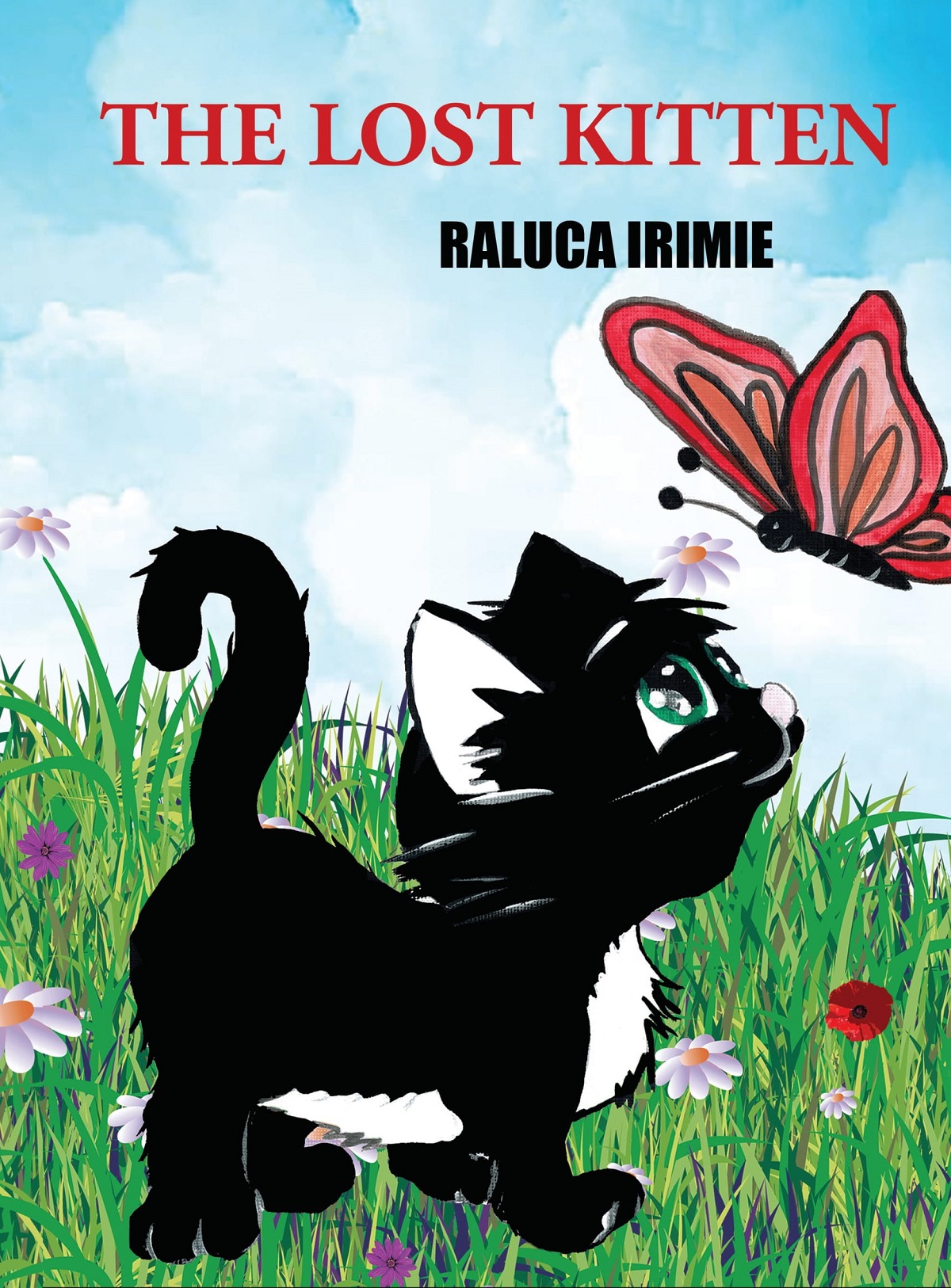 The lost kitten - Raluca Irimie