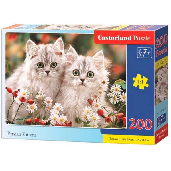 Puzzle 200. Persian Kittens