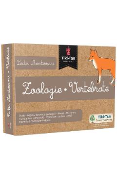 Poza produsului Zoologie. Vertebrate. Lectii Montessori