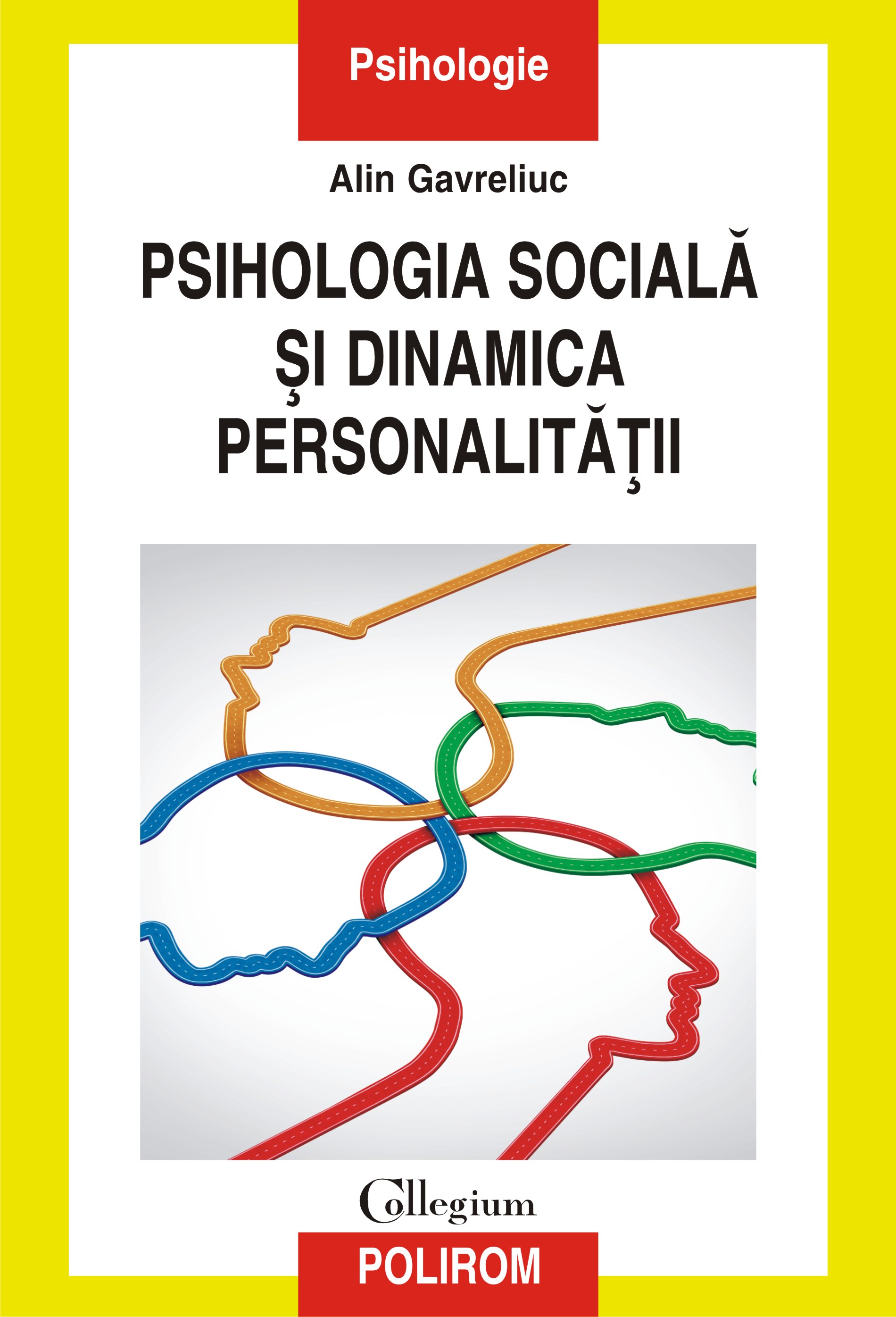 eBook Psihologia sociala si dinamica personalitatii - Alin Gavreliuc