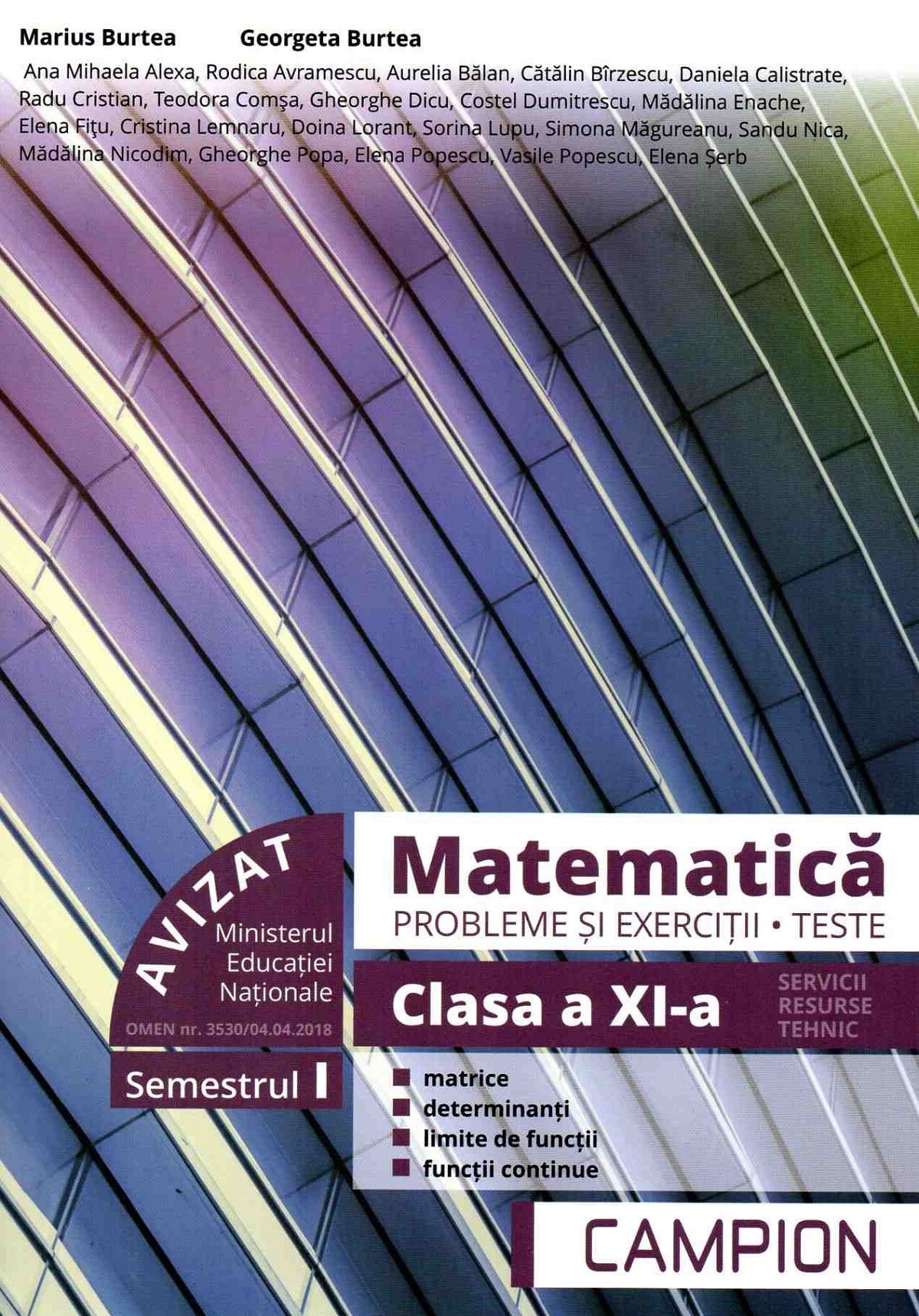 Matematica. Probleme si exercitii. Teste - Clasa 11 Sem.1 - Marius Burtea, Georgeta Burtea