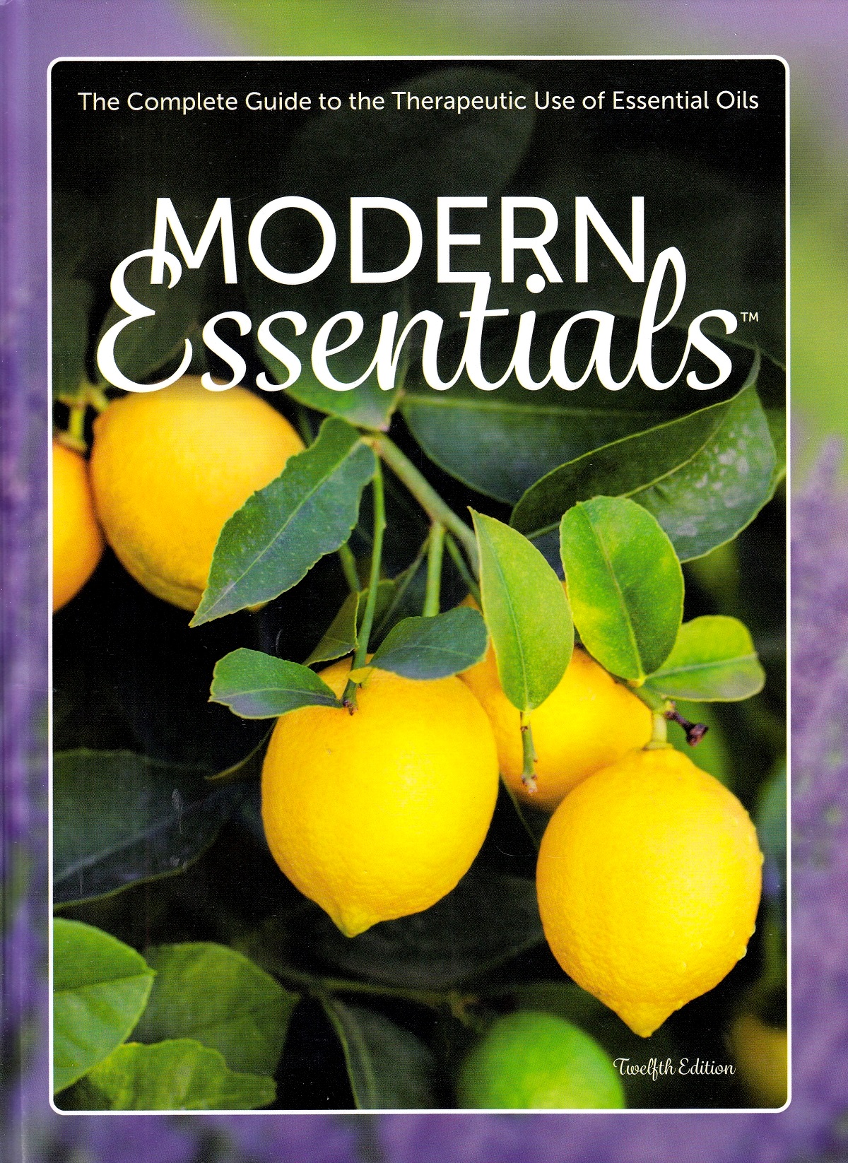 Modern Essentials - 12th Edition