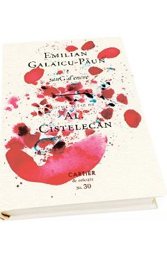 Poza produsului sanG d'encre - Emilian-Galaicu Paun