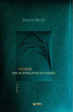 Poza produsului Frunze sub un stergator de parbriz - Mioara Baluta