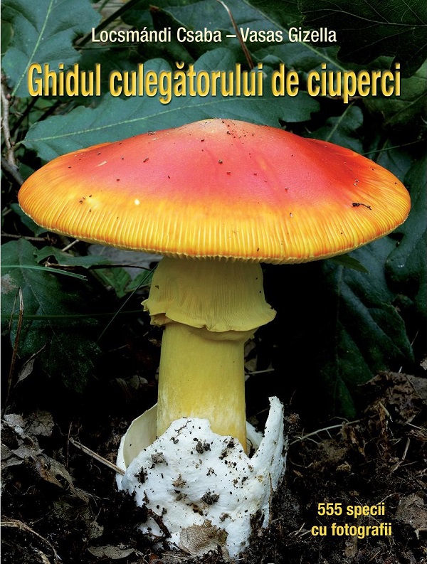 Ghidul culegatorului de ciuperci - Locsmandi Csaba - Vasas Gizella