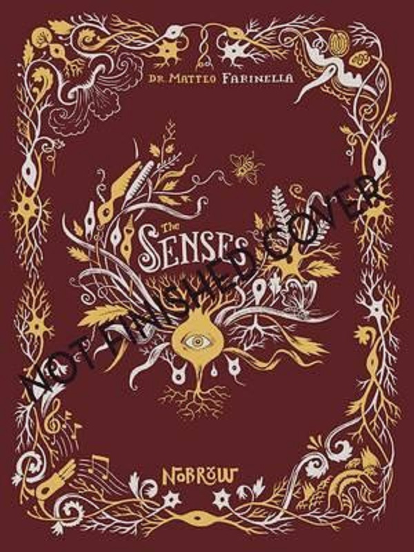 The Senses - Matteo Farinella