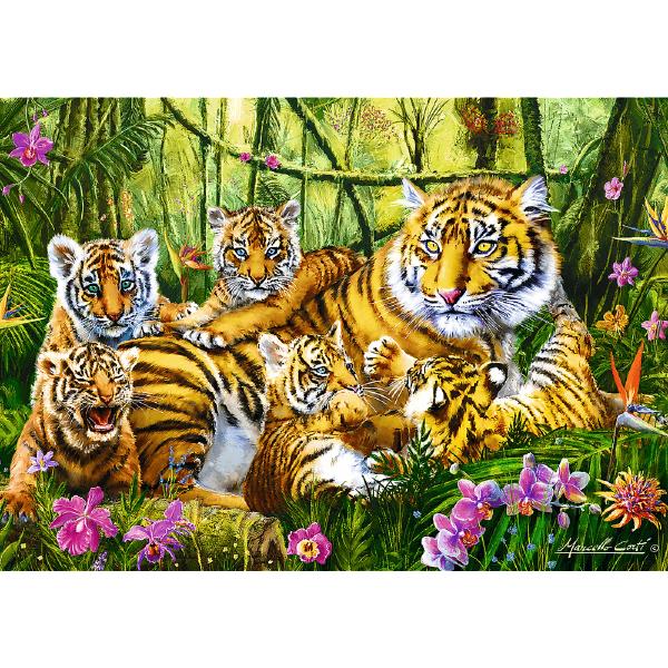 Puzzle 500. Familie de tigri