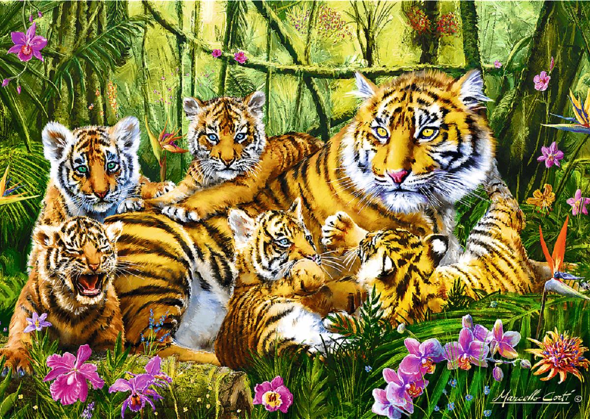 Puzzle 500. Familie de tigri