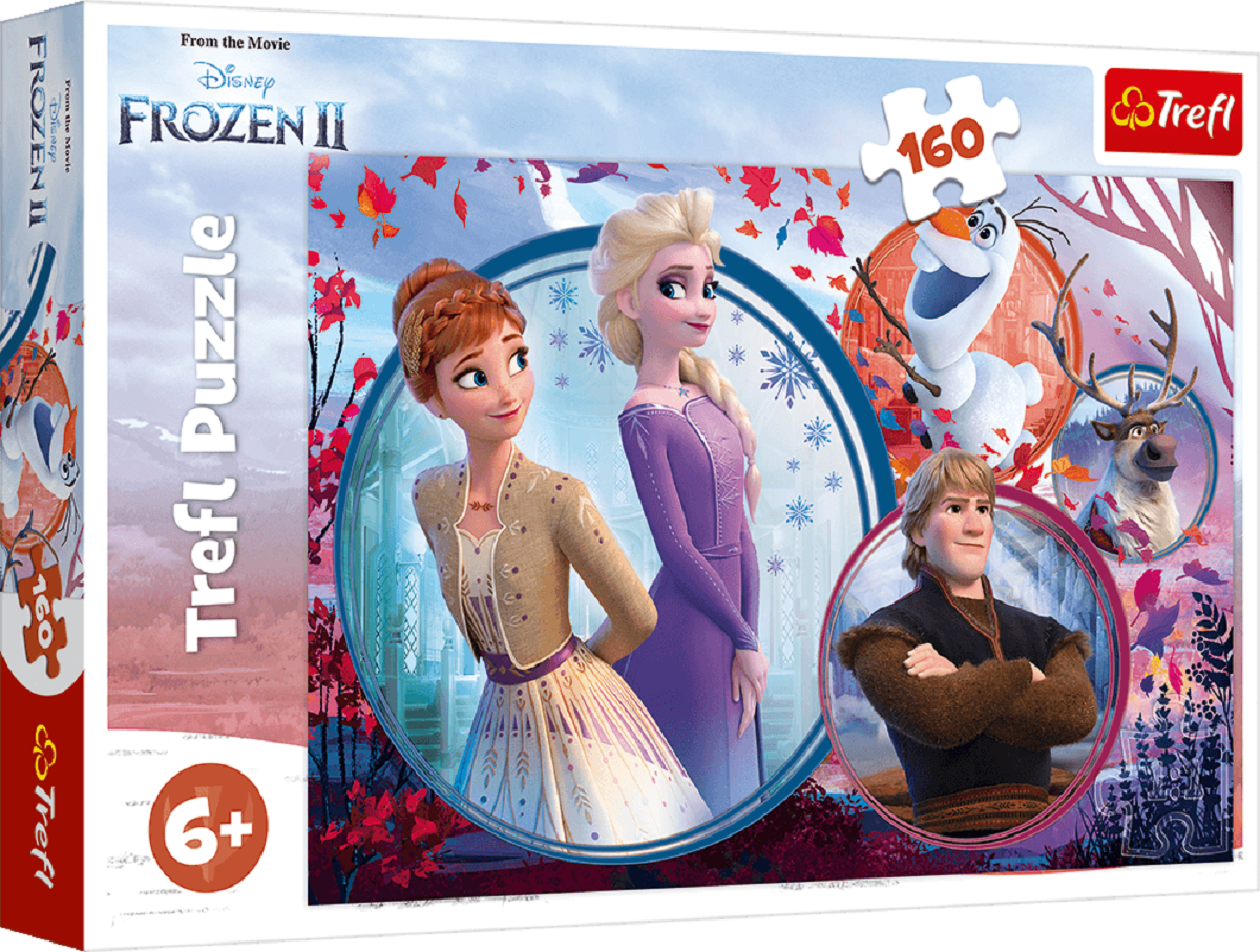 Puzzle 160. Universul Frozen 2