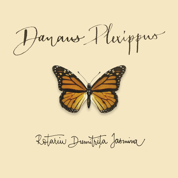 Danaus Plexippus - Rotariu Dumitrita Iasmina
