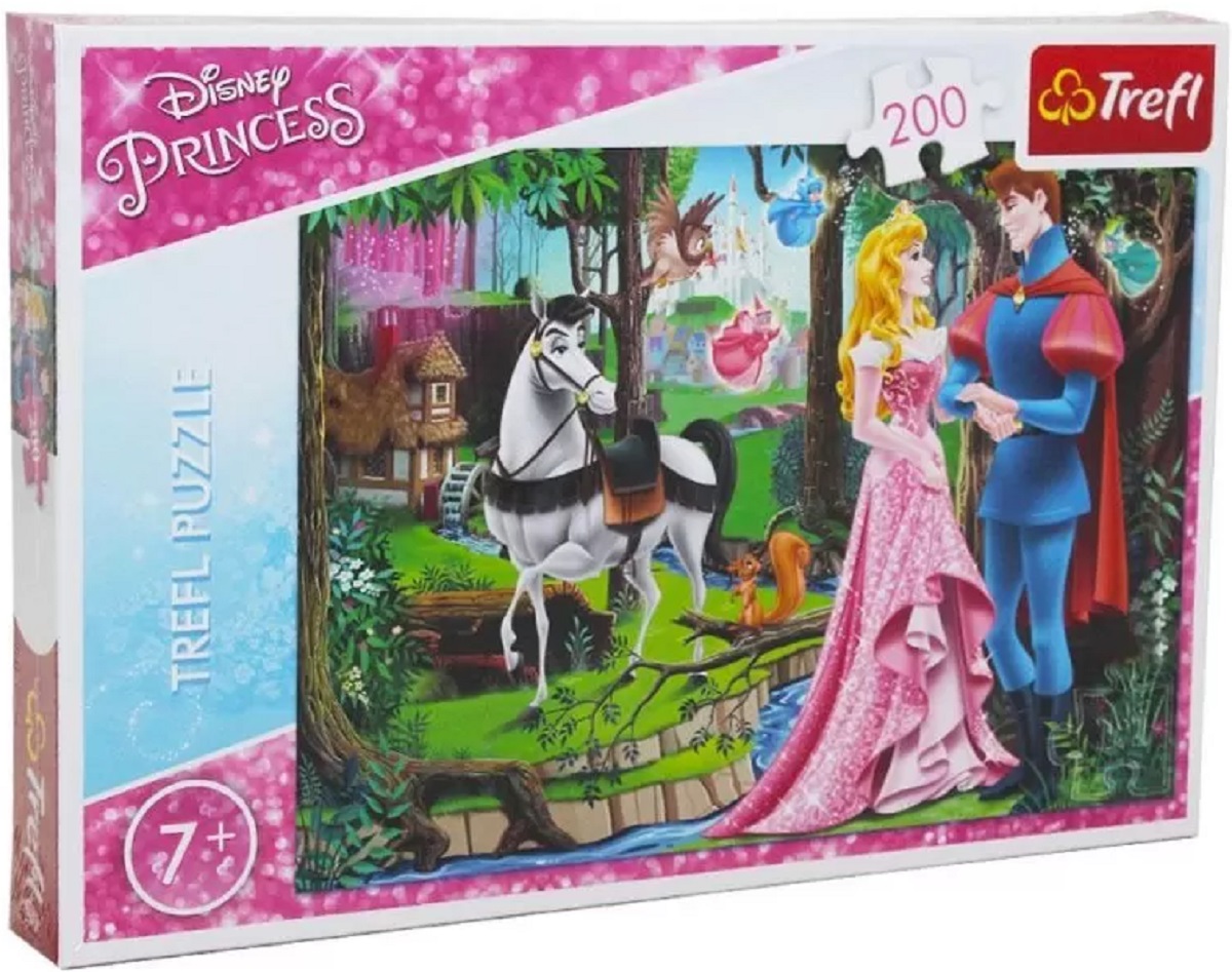 Puzzle 200. Disney Princess: Intalnirea din padure