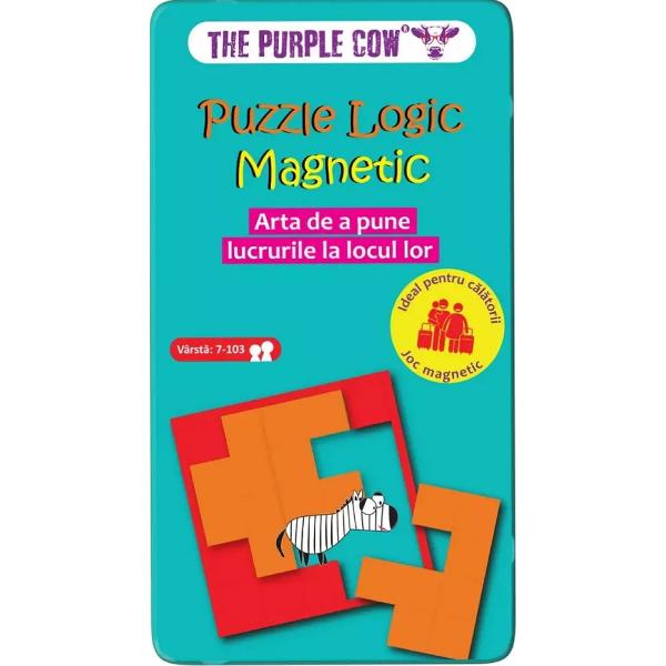 Puzzle logic magnetic