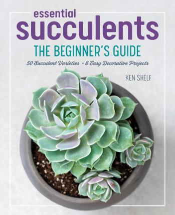 Essential Succulents: The Beginner's Guide - Ken Shelf, Rachel Weill