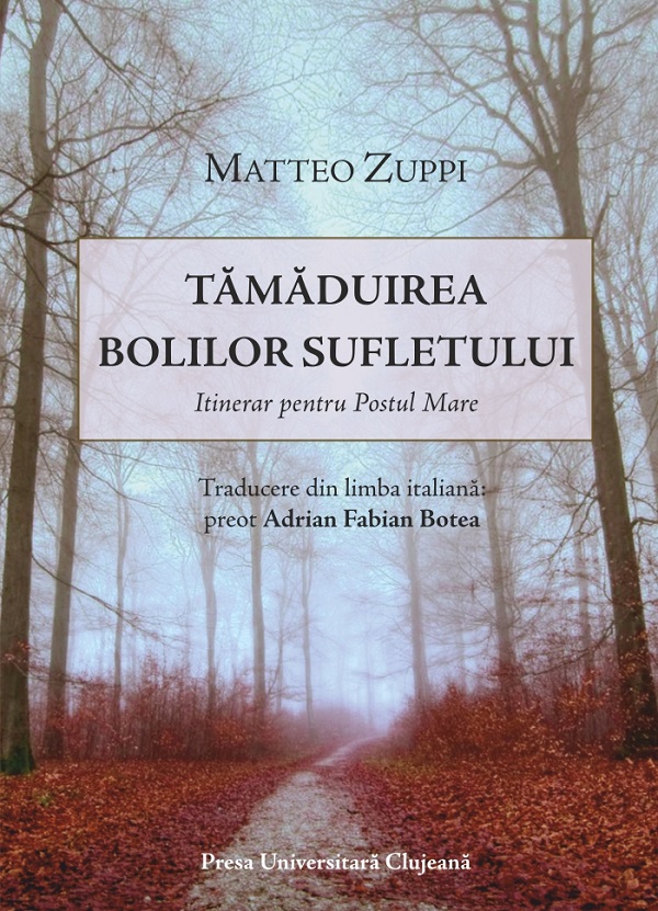 Tamaduirea bolilor sufletului - Matteo Zuppi