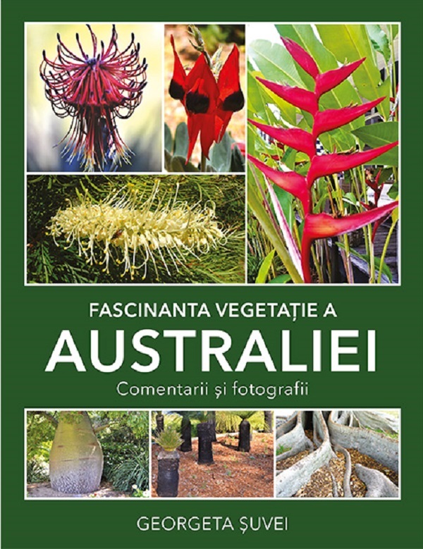 Fascinanta vegetatie a Australiei. Comentarii si fotografii - Georgeta Suvei