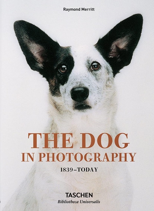 The Dog in Photography 1839-Today - Raymond Merritt