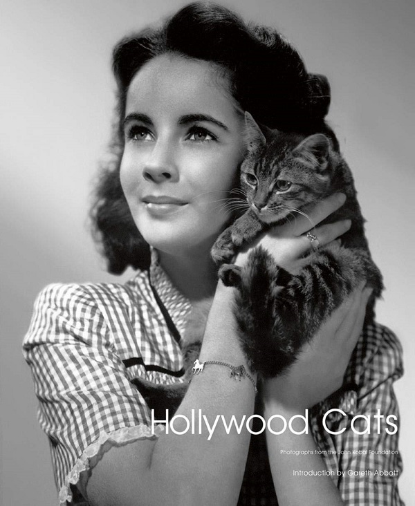 Hollywood Cats: Photographs From the John Kobal Foundation - Gareth Abbott, Simon Crocker