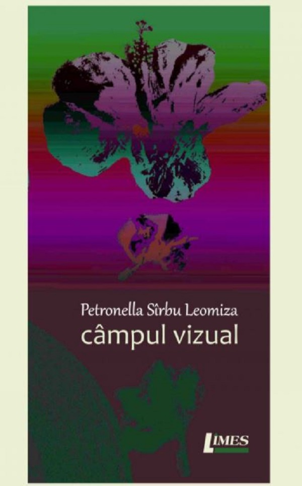 Campul vizual - Petronella Sirbu-Leomiza