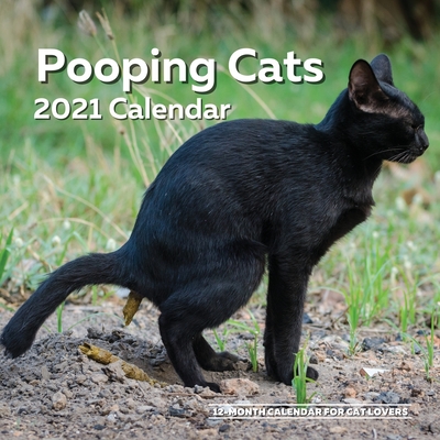 Pooping Cats Calendar 2021: Funny Cat Lover Wall Calendar Gag Joke Gift - Women, Men, Crazy Lady, Birthday, White Elephant Party, Secret Santa, Ex - Ellon Summers
