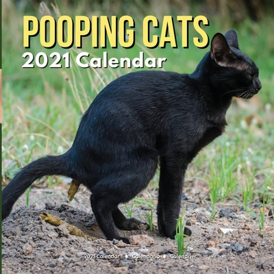 Pooping Cats Calendar 2021: Funny Animal Gag Joke Presents for Men Kids Women Birthday Christmas Stocking Stuffers Fillers Gifts - Ellon Summers