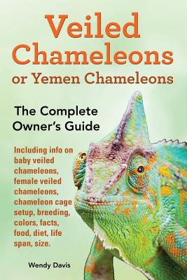 Veiled Chameleons or Yemen Chameleons as pets. info on baby veiled chameleons, female veiled chameleons, chameleon cage setup, breeding, colors, facts - Wendy Davis