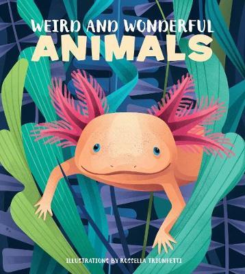 Weird and Wonderful Animals - Cristina Banfi