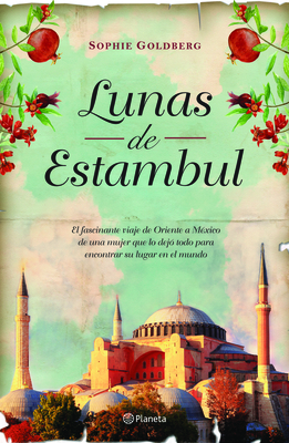 Lunas de Estanbul - Sophi Goldberg