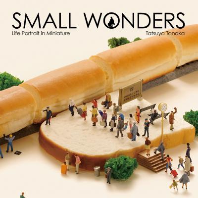Small Wonders - Life Portrait in Miniature - Tatsuya Tanaka