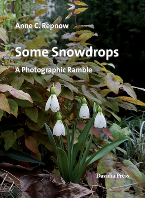 Some Snowdrops - A Photographic Ramble - Anne C. Repnow