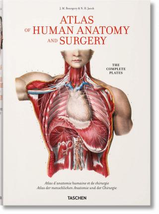 Bourgery. Atlas of Human Anatomy and Surgery - Jean-marie Le Minor
