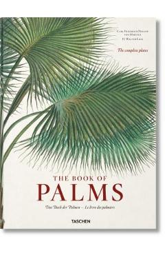Coperta cărții 'Martius. the Book of Palms - H. Walter Lack'